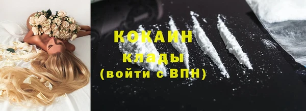 a pvp Белокуриха