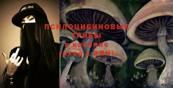 крисы Белоозёрский