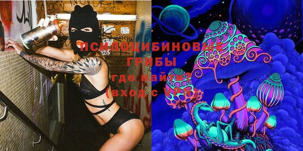 a pvp Белокуриха