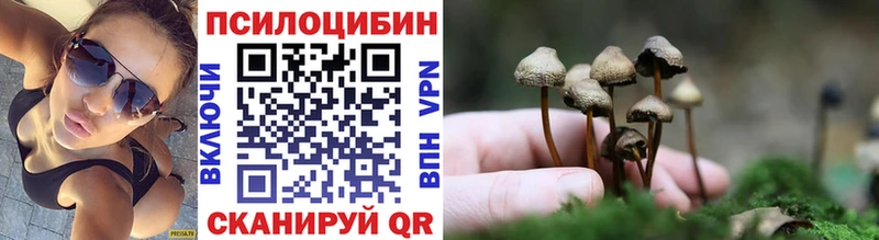 Псилоцибиновые грибы Magic Shrooms  где найти   Первомайск 